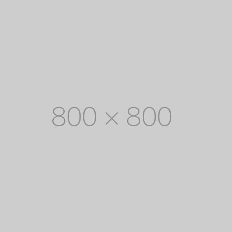 hongo 800x800-ph